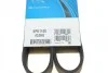 Поликлиновый ремень 6 ребер DAYCO 6PK1100 (фото 6)