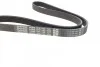 Поликлиновый ремень DAYCO 6PK1125 (фото 2)