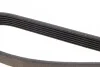 Поликлиновый ремень DAYCO 6PK1125 (фото 3)