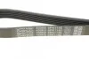 Поликлиновой ремень 6 ребер DAYCO 6PK1145 (фото 4)