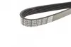 Поликлиновый ремень 6 ребер DAYCO 6PK1160 (фото 3)