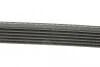 Поликлиновый ремень 6 ребер DAYCO 6PK1215 (фото 2)