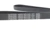Поликлиновый ремень 6 ребер DAYCO 6PK1225 (фото 4)
