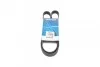Поликлиновый ремень DAYCO 6PK1260 (фото 1)