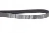 Поликлиновый ремень DAYCO 6PK1260 (фото 2)