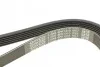 Поликлиновый ремень 6 ребер DAYCO 6PK1310 (фото 4)