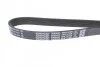 Поликлиновый ремень 6 ребер DAYCO 6PK1410S (фото 2)