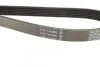 Поликлиновый ремень DAYCO 6PK1420 (фото 3)