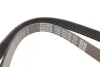 Поликлиновый ремень DAYCO 6PK1450 (фото 3)