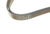 Полікліновий ремінь 6 ребер DAYCO 6PK1545 (фото 4)