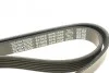 Поликлиновый ремень 6 ребер DAYCO 6PK1558 (фото 4)