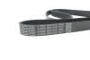 Поликлиновый ремень 6 ребер DAYCO 6PK1570 (фото 4)