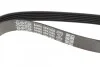 Поликлиновый ремень 6 ребер DAYCO 6PK1635 (фото 3)