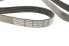 Поликлиновый ремень 6 ребер DAYCO 6PK1670 (фото 2)