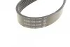 Поликлиновый ремень 6 ребер DAYCO 6PK1670 (фото 3)