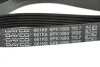 Поликлиновый ремень DAYCO 6PK1680 (фото 2)