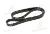 Ремень поликлин. (выр-во) DAYCO 6PK1715S (фото 3)