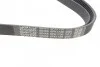 Поликлиновый ремень 6 ребер DAYCO 6PK1736 (фото 2)