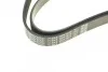 Поликлиновый ремень 6 ребер DAYCO 6PK1815 (фото 4)