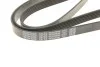 Поликлиновый ремень 6 ребер DAYCO 6PK2000 (фото 4)