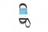 Поликлиновый ремень 6 ребер DAYCO 6PK2013 (фото 1)
