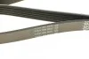 Поликлиновой ремень 6 ребер DAYCO 6PK2020 (фото 4)