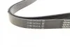 Поликлиновый ремень DAYCO 6PK2080HD (фото 2)
