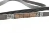 Поликлиновый ремень DAYCO 6PK2080HD (фото 3)