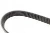 Поликлиновый ремень DAYCO 6PK2080HD (фото 4)