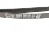 Поликлиновый ремень 6 ребер DAYCO 6PK2150S (фото 3)