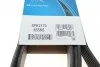 Полікліновий ремінь 6 ребер DAYCO 6PK2170 (фото 6)