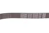 Поликлиновый ремень DAYCO 6PK2290 (фото 4)