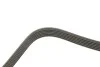 Поликлиновый ремень 6 ребер DAYCO 6PK2300 (фото 2)