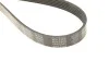 Поликлиновый ремень 6 ребер DAYCO 6PK2300 (фото 4)