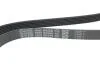 Поликлиновый ремень 6 ребер DAYCO 6PK2360 (фото 4)