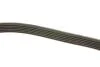 Поликлиновый ремень 6 ребер DAYCO 6PK2400 (фото 3)