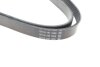 Полікліновий ремінь 6 ребер DAYCO 6PK2440 (фото 3)