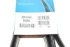 Поликлиновой ремень 6 ребер DAYCO 6PK2440 (фото 6)