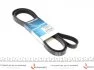 Поликлиновый ремень 6 ребер DAYCO 6PK2490 (фото 1)