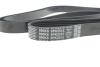 Поликлиновый ремень 6 ребер DAYCO 6PK2515 (фото 4)