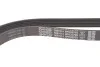 Поликлиновый ремень 6 ребер DAYCO 6PK2576S (фото 4)
