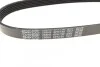 Поликлиновый ремень 6 ребер DAYCO 6PK730 (фото 3)