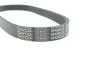 РЕМЕНЬ ПОЛИКЛИНОВЫЙ DAYCO 6PK803EE (фото 4)
