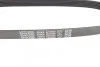 Поликлиновый ремень 6 ребер DAYCO 6PK850 (фото 4)