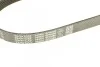 Поликлиновый ремень 6 ребер DAYCO 6PK888 (фото 4)