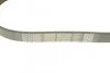 Поликлиновый ремень 6 ребер DAYCO 6PK900 (фото 3)