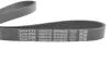 Поликлиновый ремень 6 ребер DAYCO 6PK962S (фото 3)