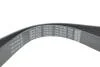 РЕМЕНЬ ПОЛИКЛИНОВЫЙ DAYCO 7PK1051EE (фото 4)