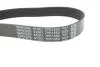 Поликлиновый ремень DAYCO 7PK1550 (фото 4)