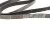 Ремінь (вир-во) DAYCO 7PK2050 (фото 3)